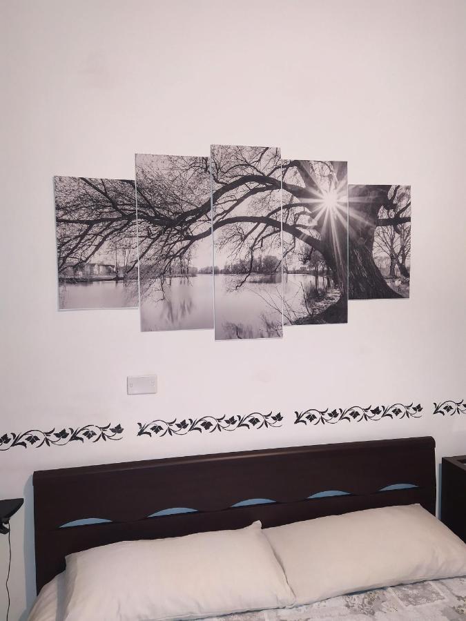 Fercla Appartamento Фиано-Романо Экстерьер фото