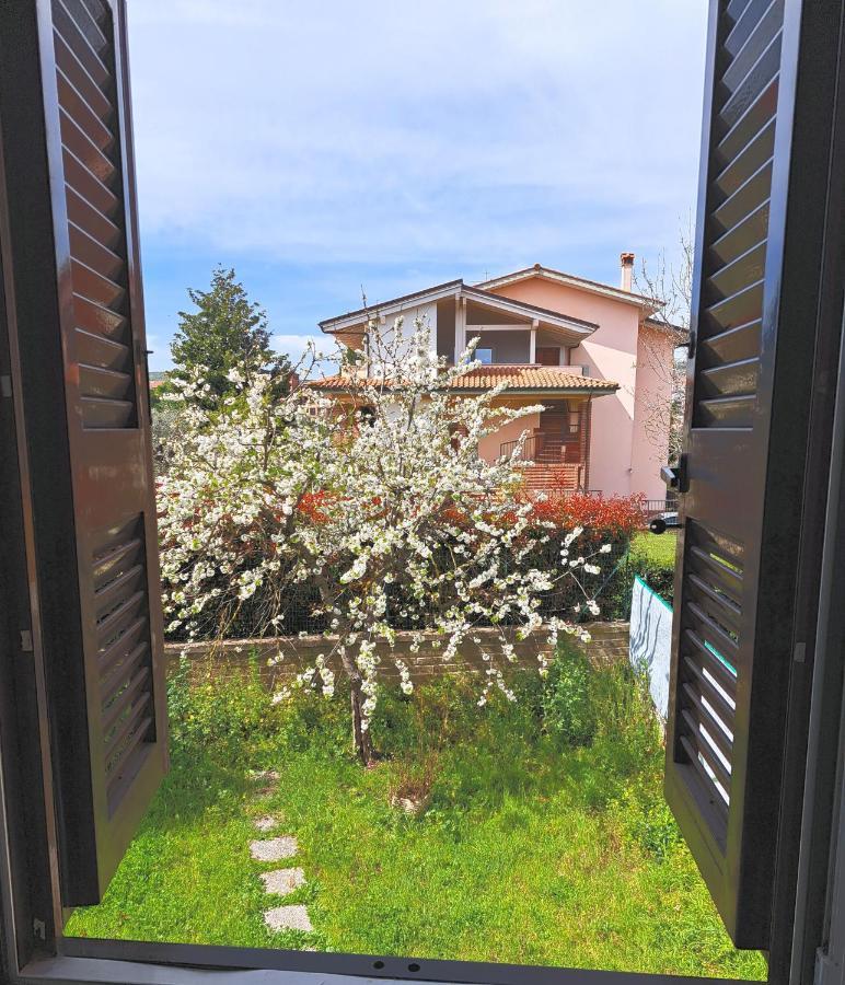 Fercla Appartamento Фиано-Романо Экстерьер фото